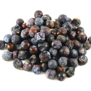 Common juniper