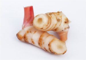 Lengkuas