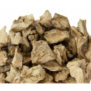 Angelica root