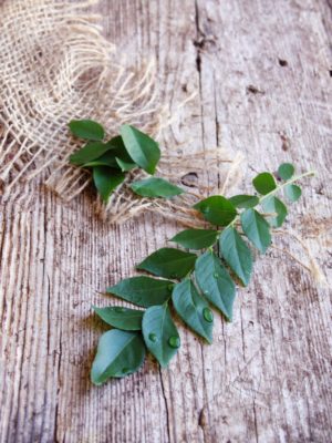 Fresh curry leaf