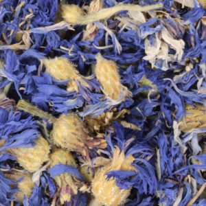 Cornflower