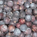 Jeneverbessen biologisch-Juniper berries