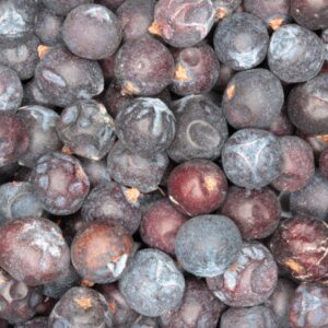 Jeneverbessen biologisch-Juniper berries